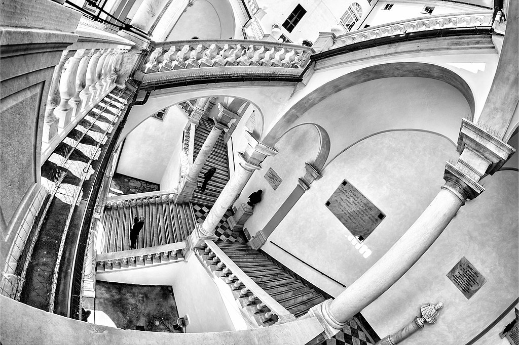 Read more about the article Seeing Tomorrow’s Perspective Today